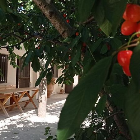 Tzermiádon Villatzer - Traditional House With Fireplace And Garden מראה חיצוני תמונה