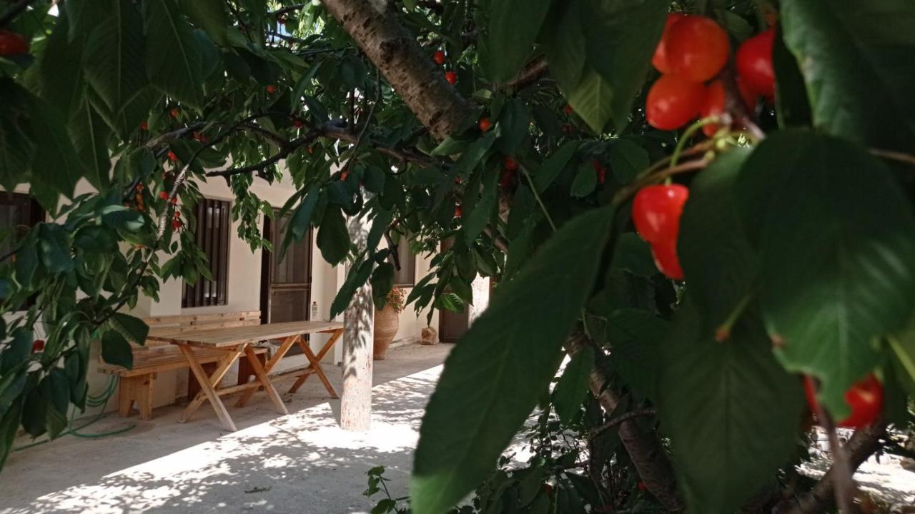 Tzermiádon Villatzer - Traditional House With Fireplace And Garden מראה חיצוני תמונה